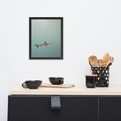 Shark Wall Art