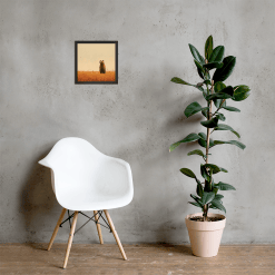 Bear Wall Art | Square Black Frame