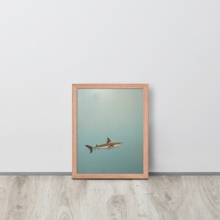 Great White Shark Wall Art
