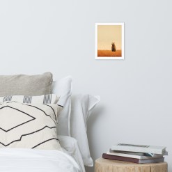 Bear Wall Art White Frame